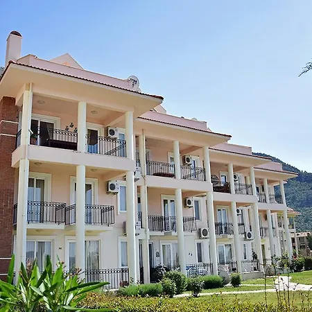 Pinara 40 *
