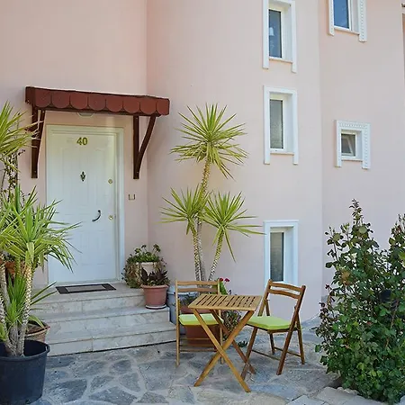 Pinara 40 *
